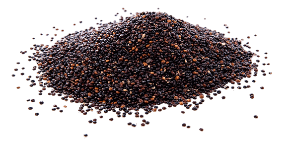 CHAKRA Kachi Ghani Mustard Oil