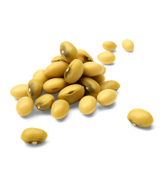 CLASSIC REFINED SOYABEAN OIL